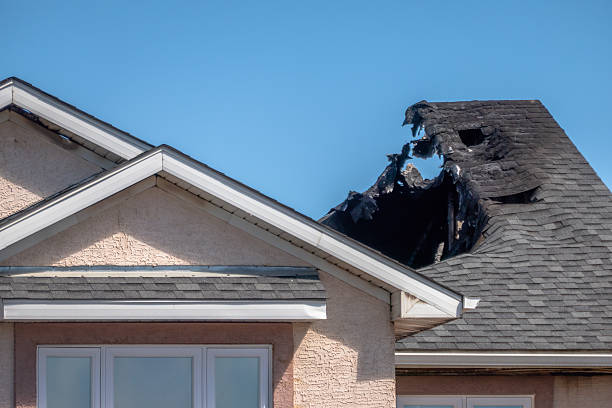 Top rated local Board Up Services specialists in Washington, WA